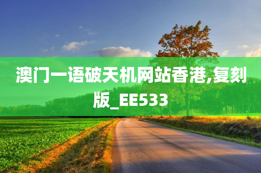 澳门一语破天机网站香港,复刻版_EE533