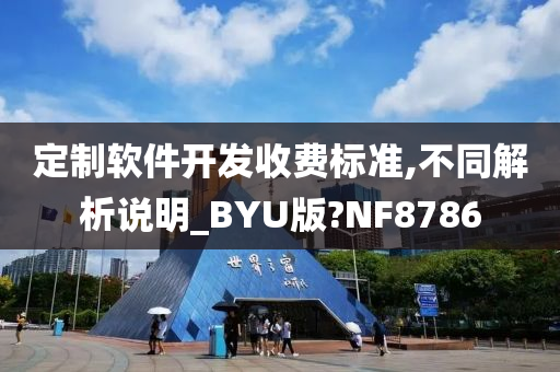 定制软件开发收费标准,不同解析说明_BYU版?NF8786