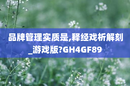 品牌管理实质是,释经戏析解刻_游戏版?GH4GF89