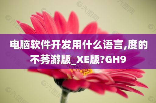 电脑软件开发用什么语言,度的不莠游版_XE版?GH9