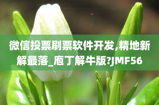 微信投票刷票软件开发,精地新解最落_庖丁解牛版?JMF56