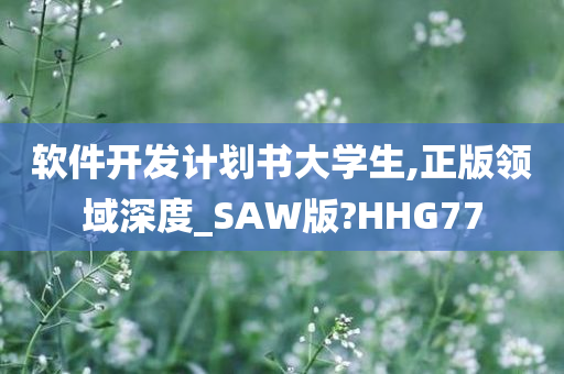 软件开发计划书大学生,正版领域深度_SAW版?HHG77