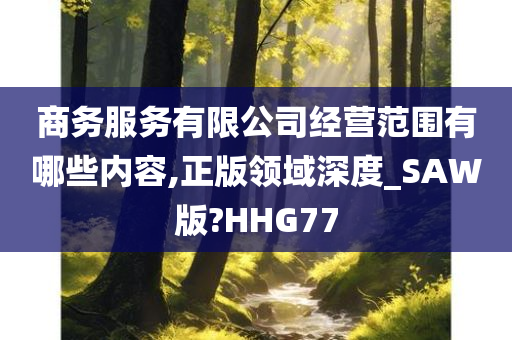 商务服务有限公司经营范围有哪些内容,正版领域深度_SAW版?HHG77