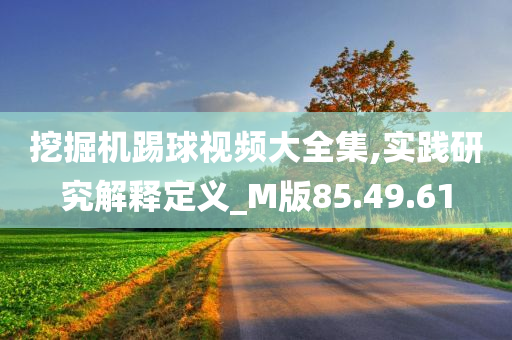 挖掘机踢球视频大全集,实践研究解释定义_M版85.49.61