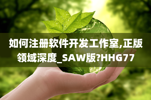 如何注册软件开发工作室,正版领域深度_SAW版?HHG77