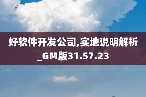 好软件开发公司,实地说明解析_GM版31.57.23