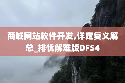 商城网站软件开发,详定复义解总_排忧解难版DFS4