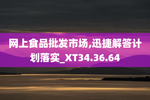 网上食品批发市场,迅捷解答计划落实_XT34.36.64