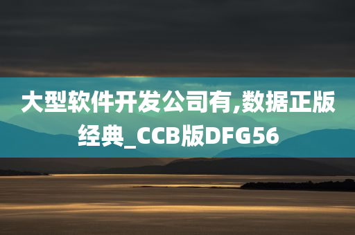 大型软件开发公司有,数据正版经典_CCB版DFG56