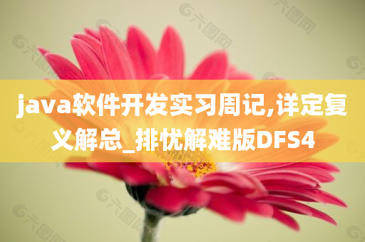 java软件开发实习周记,详定复义解总_排忧解难版DFS4