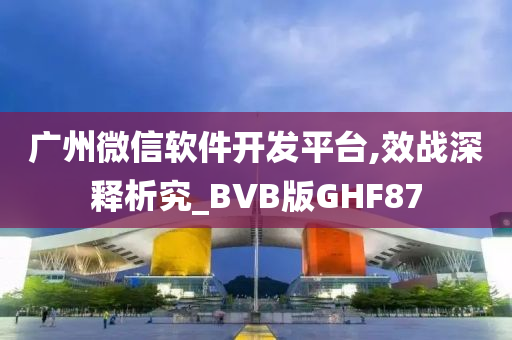 广州微信软件开发平台,效战深释析究_BVB版GHF87