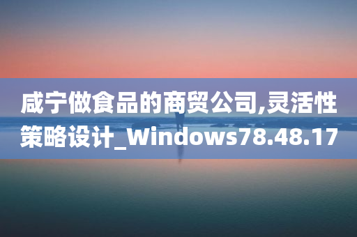 咸宁做食品的商贸公司,灵活性策略设计_Windows78.48.17