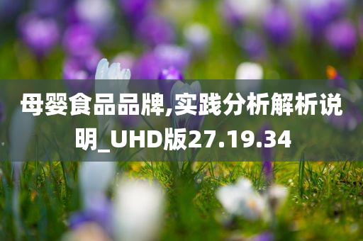 母婴食品品牌,实践分析解析说明_UHD版27.19.34