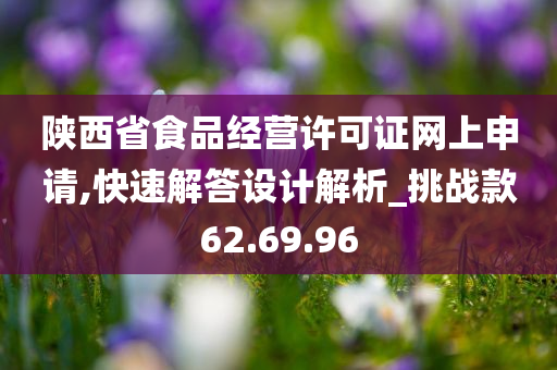 陕西省食品经营许可证网上申请,快速解答设计解析_挑战款62.69.96