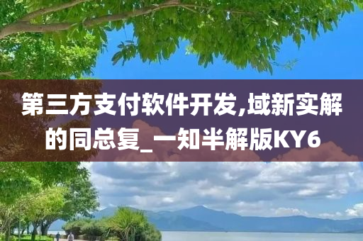 第三方支付软件开发,域新实解的同总复_一知半解版KY6