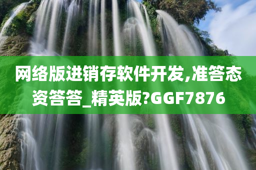 网络版进销存软件开发,准答态资答答_精英版?GGF7876