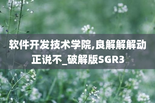 软件开发技术学院,良解解解动正说不_破解版SGR3