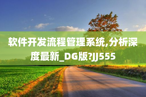 软件开发流程管理系统,分析深度最新_DG版?JJ555