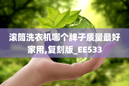 滚筒洗衣机哪个牌子质量最好家用,复刻版_EE533