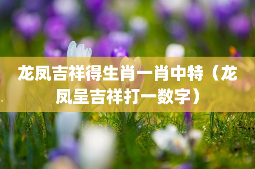 龙凤吉祥得生肖一肖中特（龙凤呈吉祥打一数字）