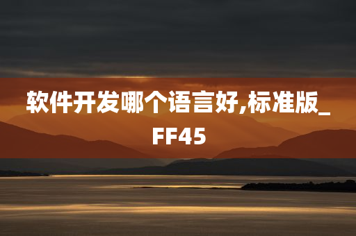 软件开发哪个语言好,标准版_FF45