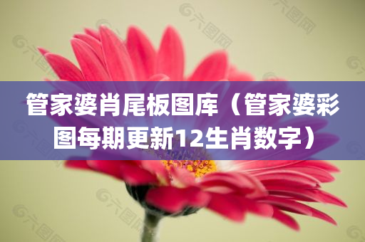 管家婆肖尾板图库（管家婆彩图每期更新12生肖数字）