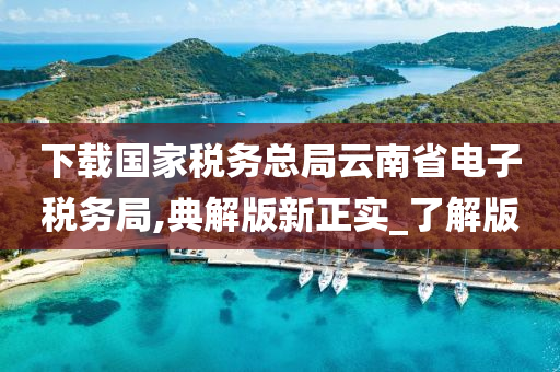 下载国家税务总局云南省电子税务局,典解版新正实_了解版