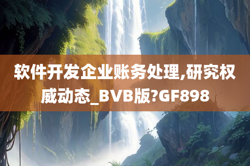 软件开发企业账务处理,研究权威动态_BVB版?GF898