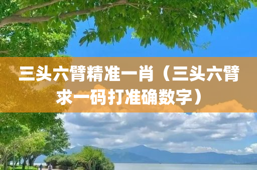 三头六臂精准一肖（三头六臂求一码打准确数字）