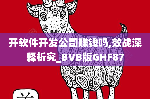 开软件开发公司赚钱吗,效战深释析究_BVB版GHF87