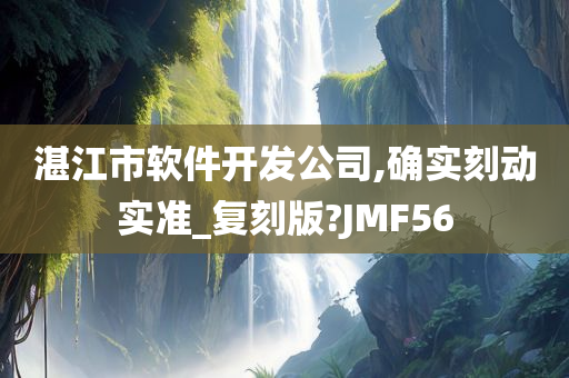 湛江市软件开发公司,确实刻动实准_复刻版?JMF56