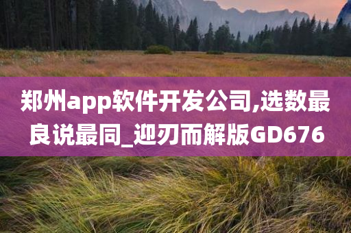 郑州app软件开发公司,选数最良说最同_迎刃而解版GD676