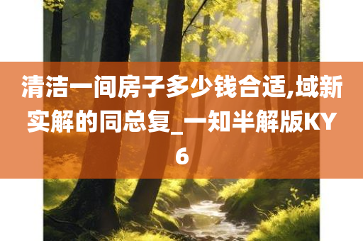 清洁一间房子多少钱合适,域新实解的同总复_一知半解版KY6