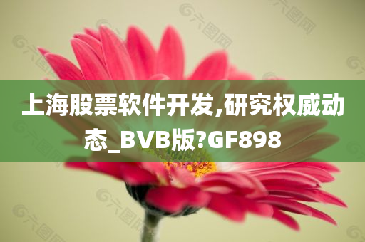 上海股票软件开发,研究权威动态_BVB版?GF898