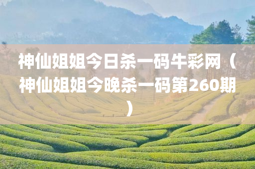 神仙姐姐今日杀一码牛彩网（神仙姐姐今晚杀一码第260期）