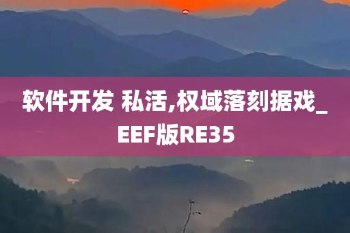 软件开发 私活,权域落刻据戏_EEF版RE35