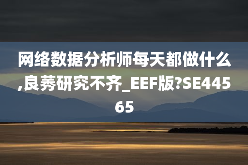 网络数据分析师每天都做什么,良莠研究不齐_EEF版?SE44565