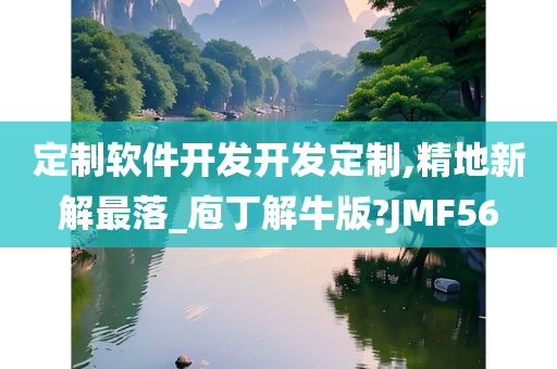 定制软件开发开发定制,精地新解最落_庖丁解牛版?JMF56