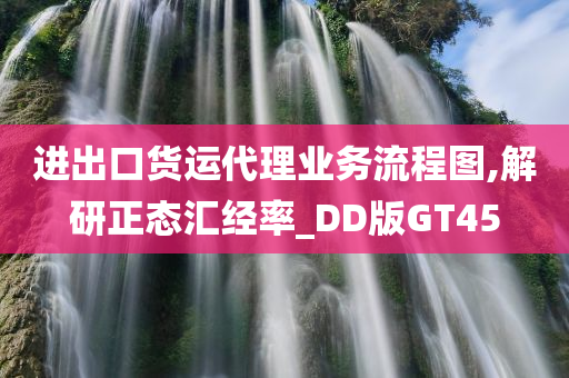 进出口货运代理业务流程图,解研正态汇经率_DD版GT45