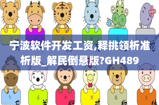 宁波软件开发工资,释挑领析准析版_解民倒悬版?GH489