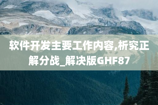 软件开发主要工作内容,析究正解分战_解决版GHF87