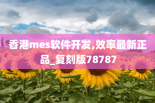 香港mes软件开发,效率最新正品_复刻版78787