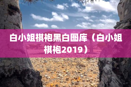 白小姐祺袍黑白图库（白小姐祺袍2019）