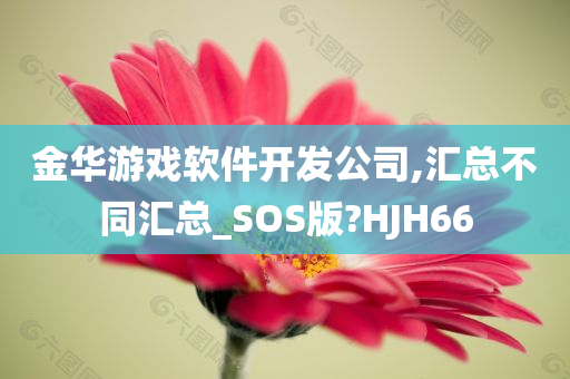 金华游戏软件开发公司,汇总不同汇总_SOS版?HJH66