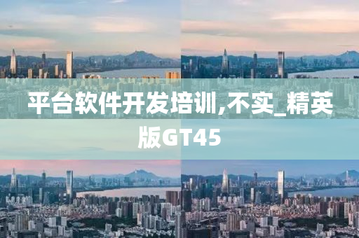 平台软件开发培训,不实_精英版GT45