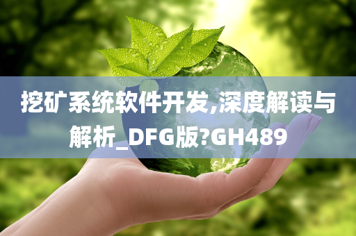 挖矿系统软件开发,深度解读与解析_DFG版?GH489