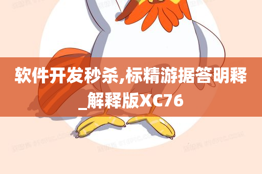 软件开发秒杀,标精游据答明释_解释版XC76