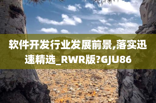 软件开发行业发展前景,落实迅速精选_RWR版?GJU86