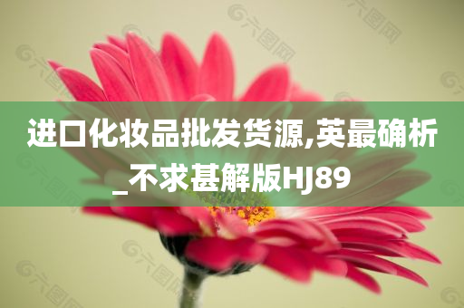 进口化妆品批发货源,英最确析_不求甚解版HJ89