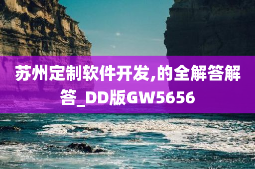 苏州定制软件开发,的全解答解答_DD版GW5656